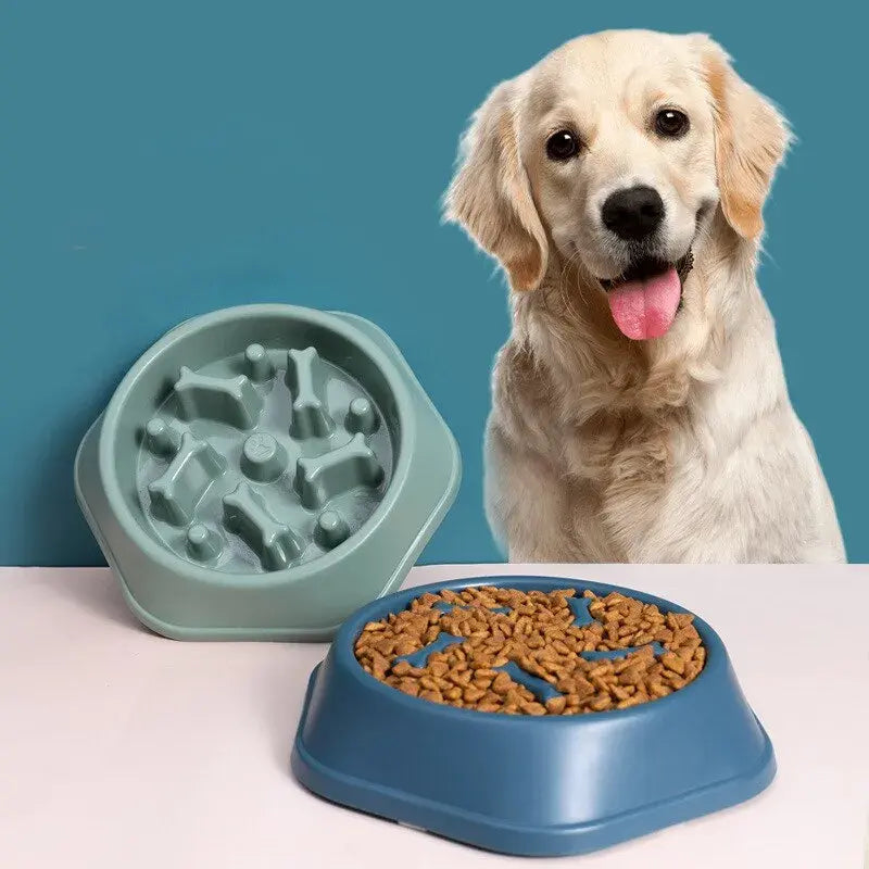 Plato para alimento de mascotas con figuras de huesos