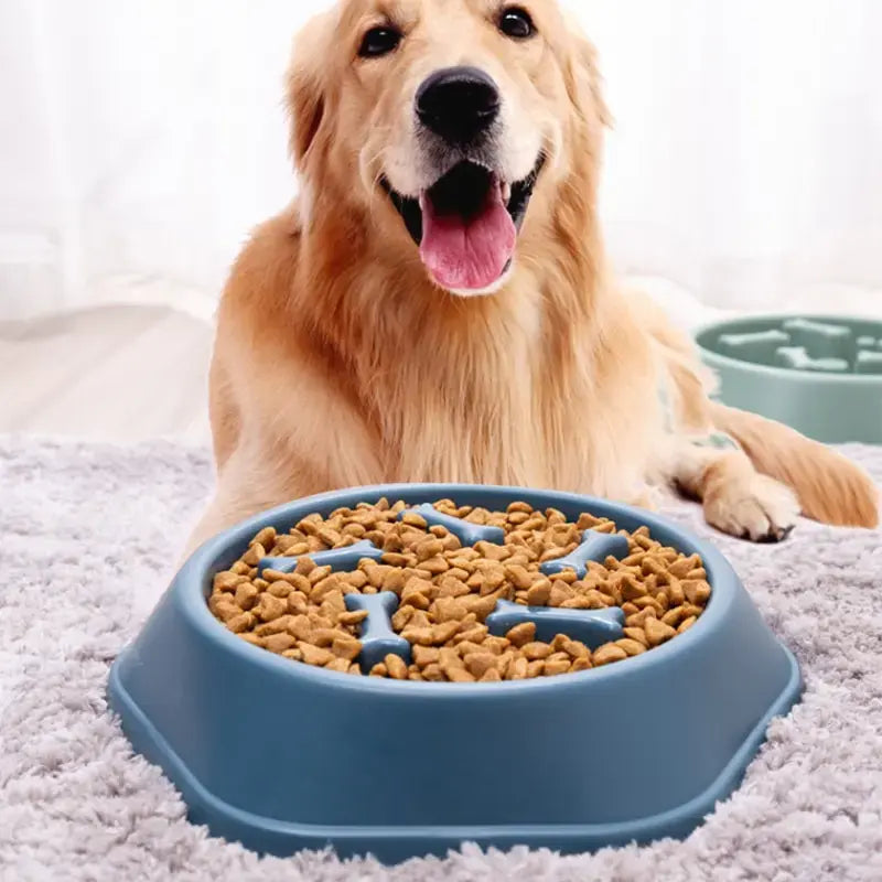 Plato para alimento de mascotas con figuras de huesos