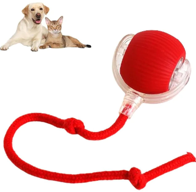Pelota inteligente para mascotas
