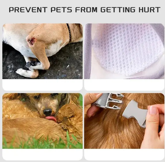 Mangas protectoras de rodillas para perros