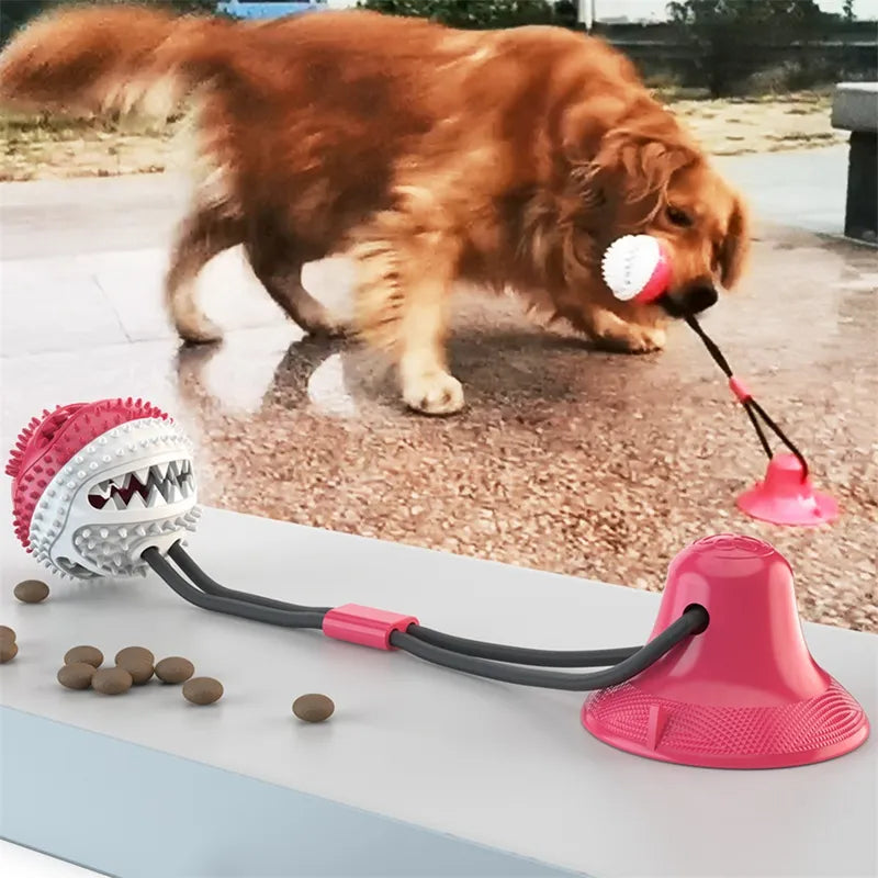 Bola de Succión Interactiva para Perros