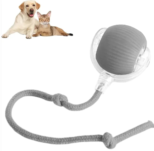 Pelota inteligente para mascotas