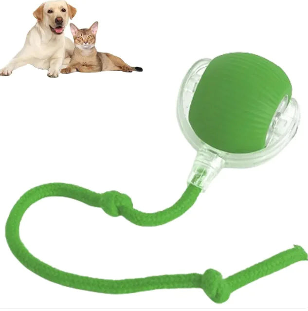 Pelota inteligente para mascotas