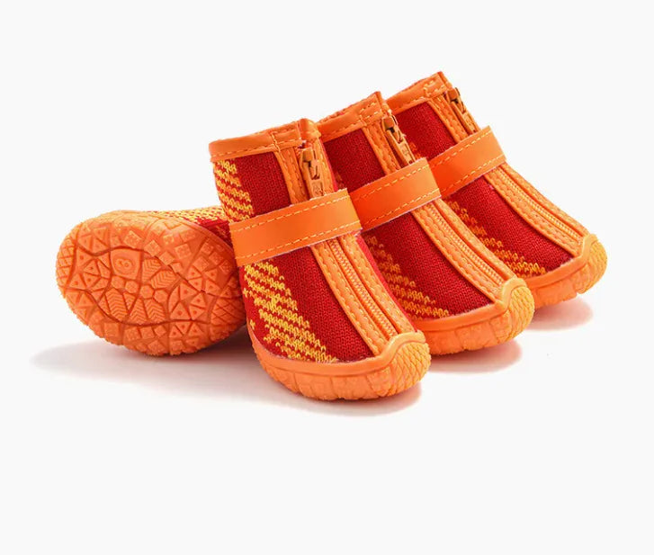 Zapatos para Mascotas