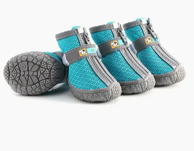 Zapatos para Mascotas