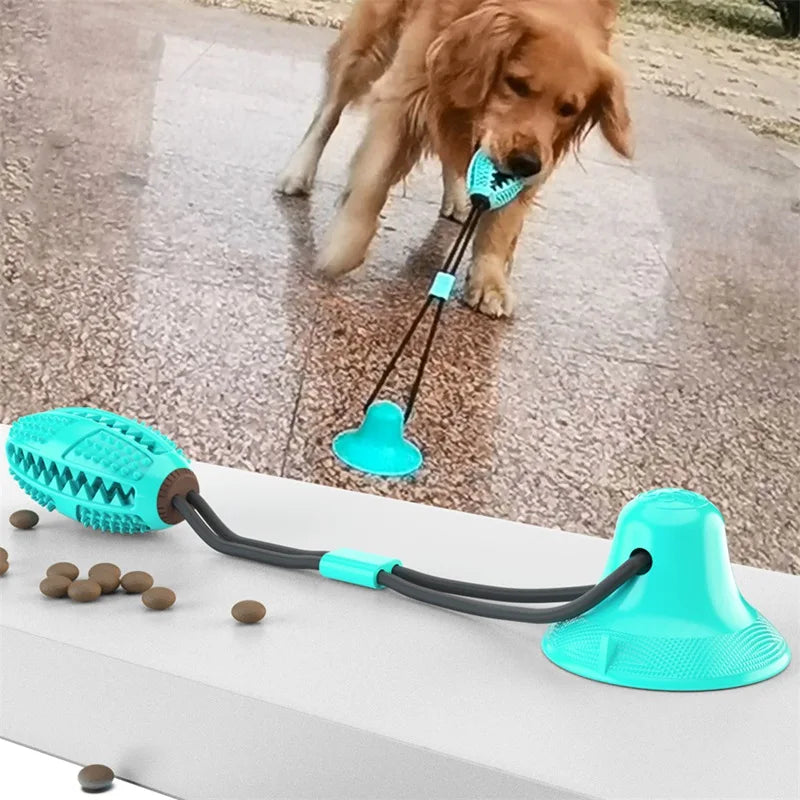 Bola de Succión Interactiva para Perros