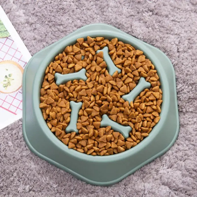 Plato para alimento de mascotas con figuras de huesos