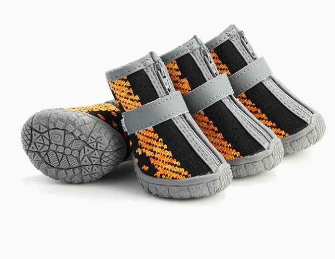 Zapatos para Mascotas