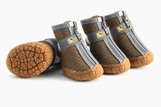 Zapatos para Mascotas