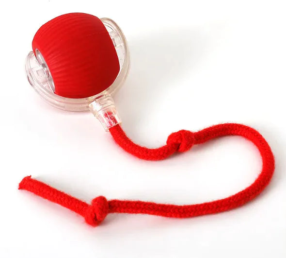 Pelota autorolante para gatos