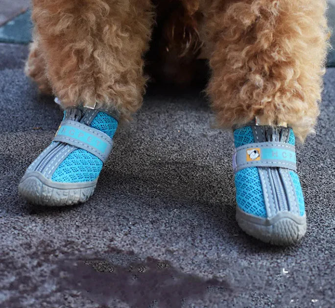 Zapatos para Mascotas