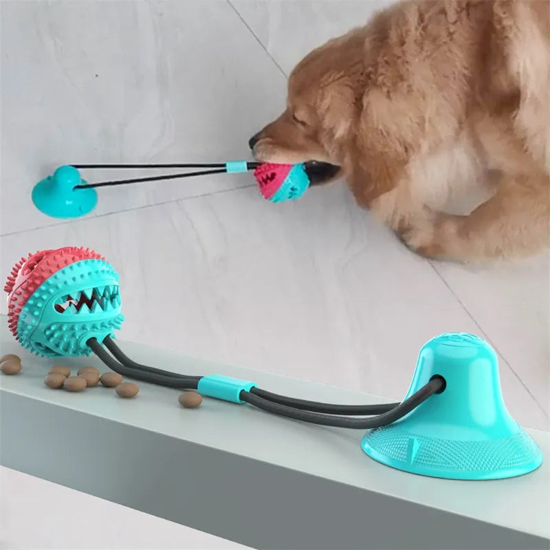 Bola de Succión Interactiva para Perros