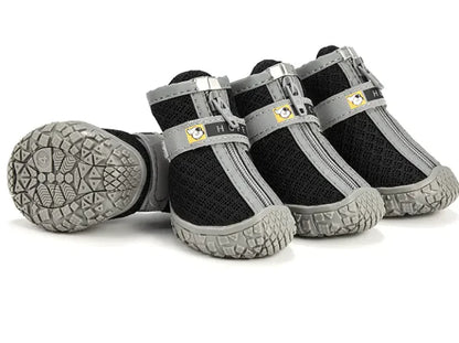 Zapatos para Mascotas