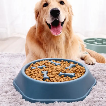 Plato para alimento de mascotas con figuras de huesos