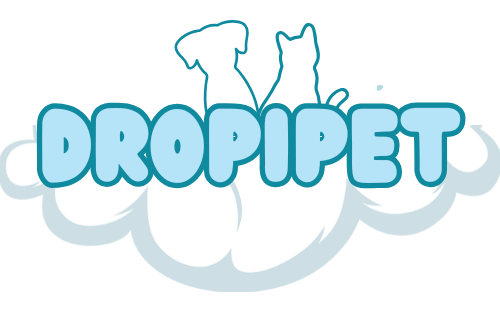 Dropipet