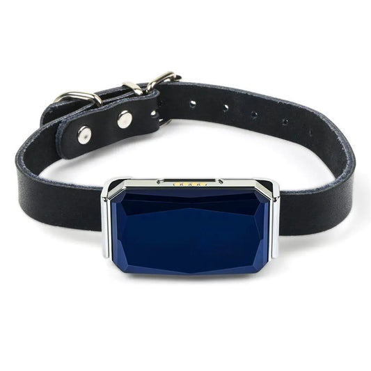 Collar GPS localizador para Mascotas