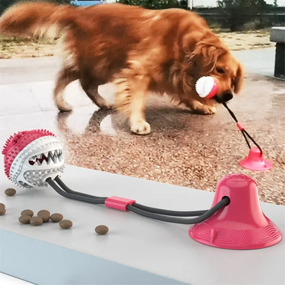 Bola de Succión Interactiva para Perros