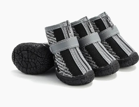 Zapatos para Mascotas