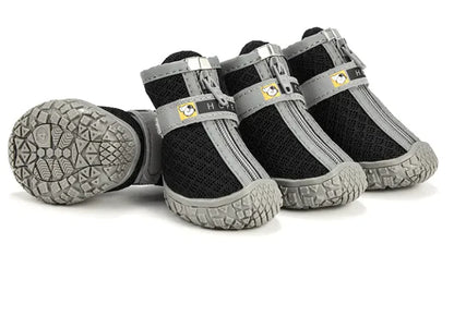 Zapatos para Mascotas